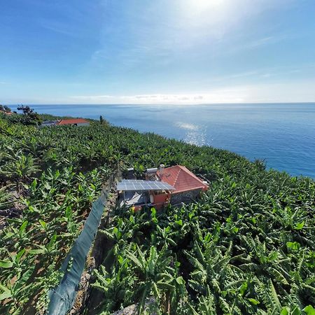 Casa Dos Anjos Villa Ponta do Sol  Eksteriør bilde