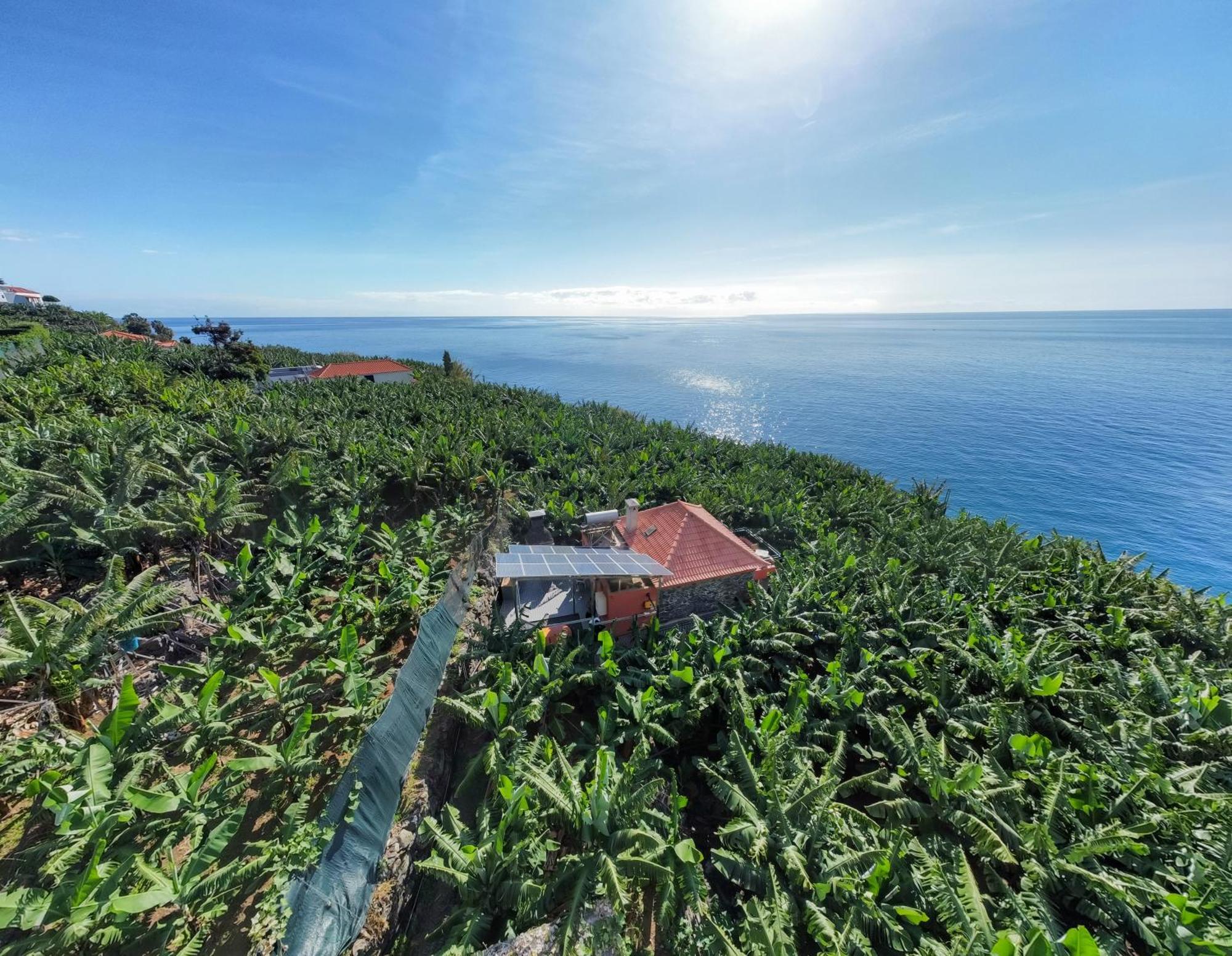 Casa Dos Anjos Villa Ponta do Sol  Eksteriør bilde