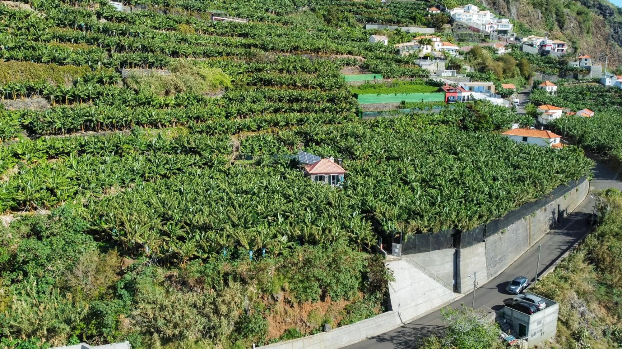 Casa Dos Anjos Villa Ponta do Sol  Eksteriør bilde