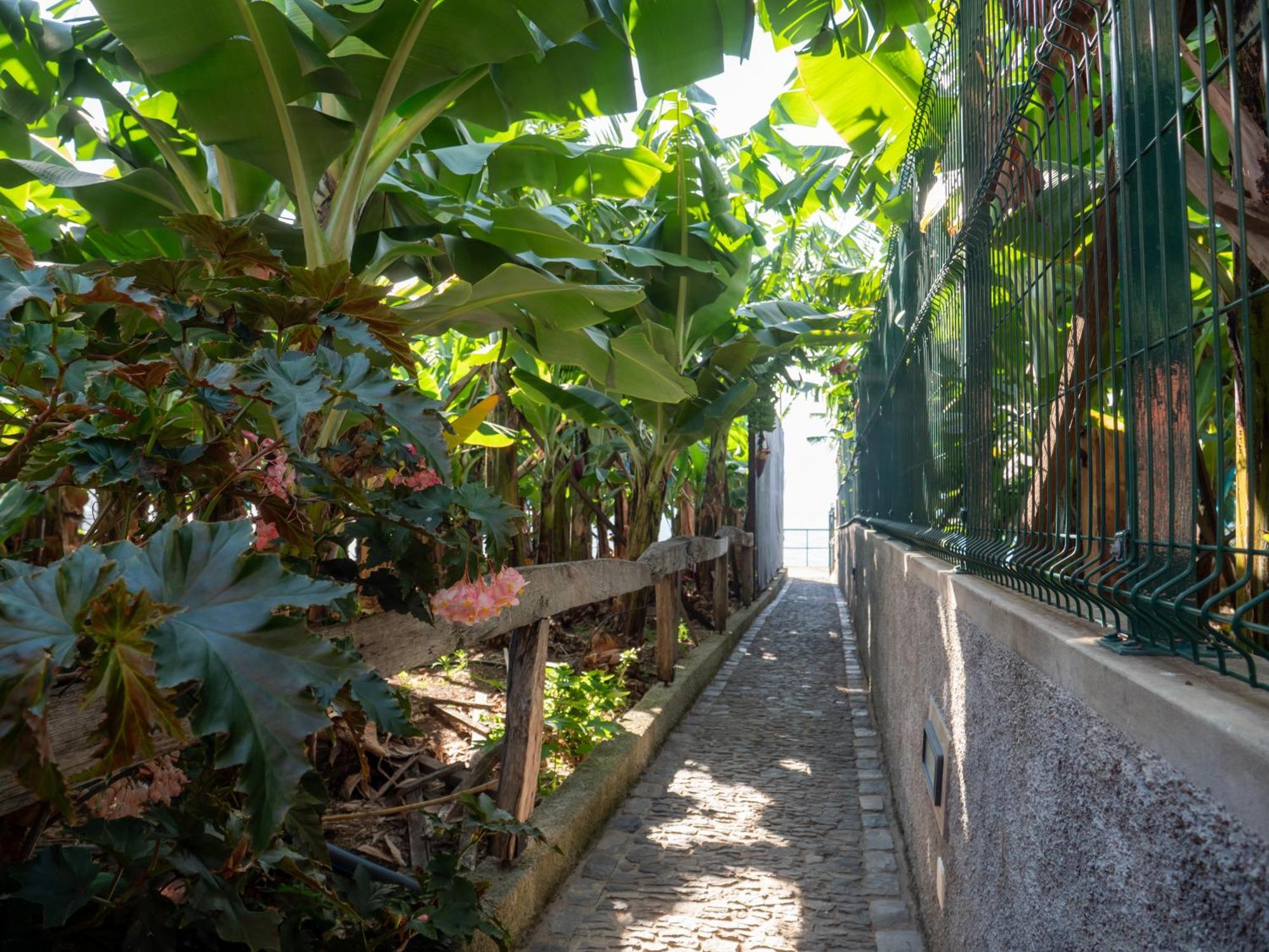 Casa Dos Anjos Villa Ponta do Sol  Eksteriør bilde