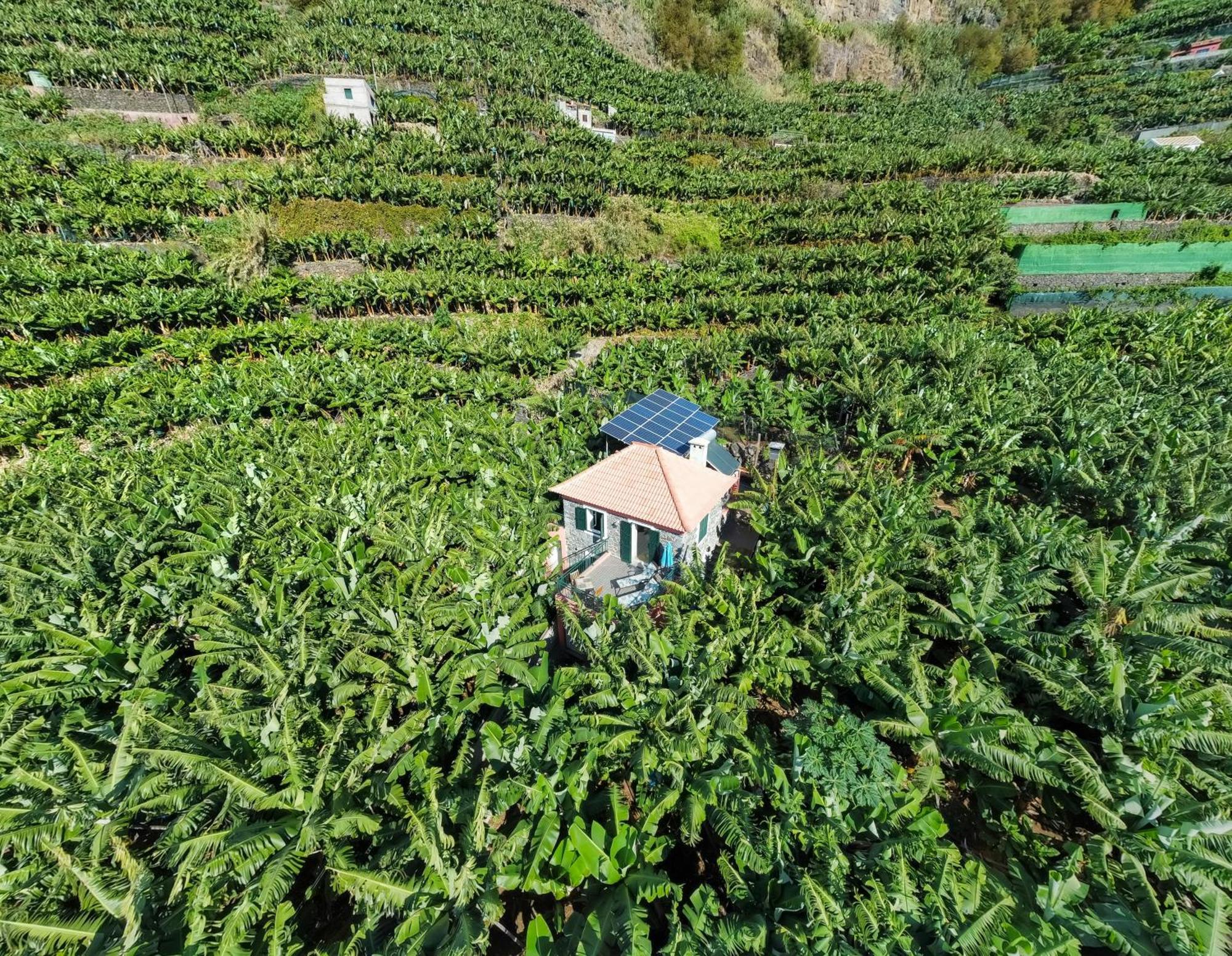 Casa Dos Anjos Villa Ponta do Sol  Eksteriør bilde