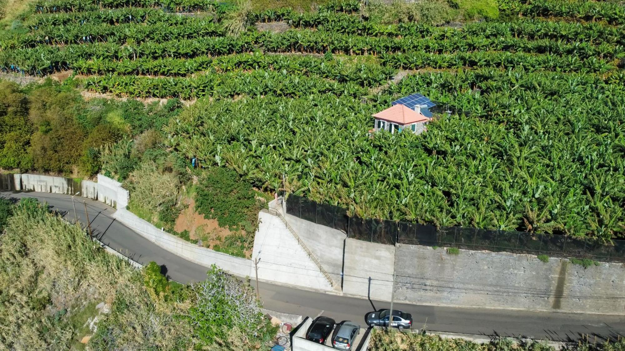 Casa Dos Anjos Villa Ponta do Sol  Eksteriør bilde